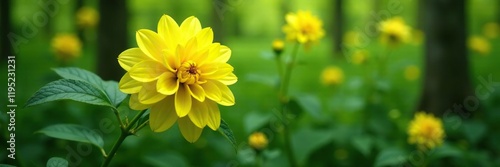 Wallpaper Mural A bright yellow dahlia blooms on a forest branch, foliage, leafy greens Torontodigital.ca