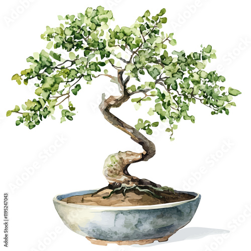 A watercolor drawing of an elm bonsai, isolated on a white background. Elm bonsai vector.
