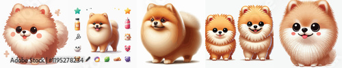 vector collection of cute and adorable pomeranian dogs