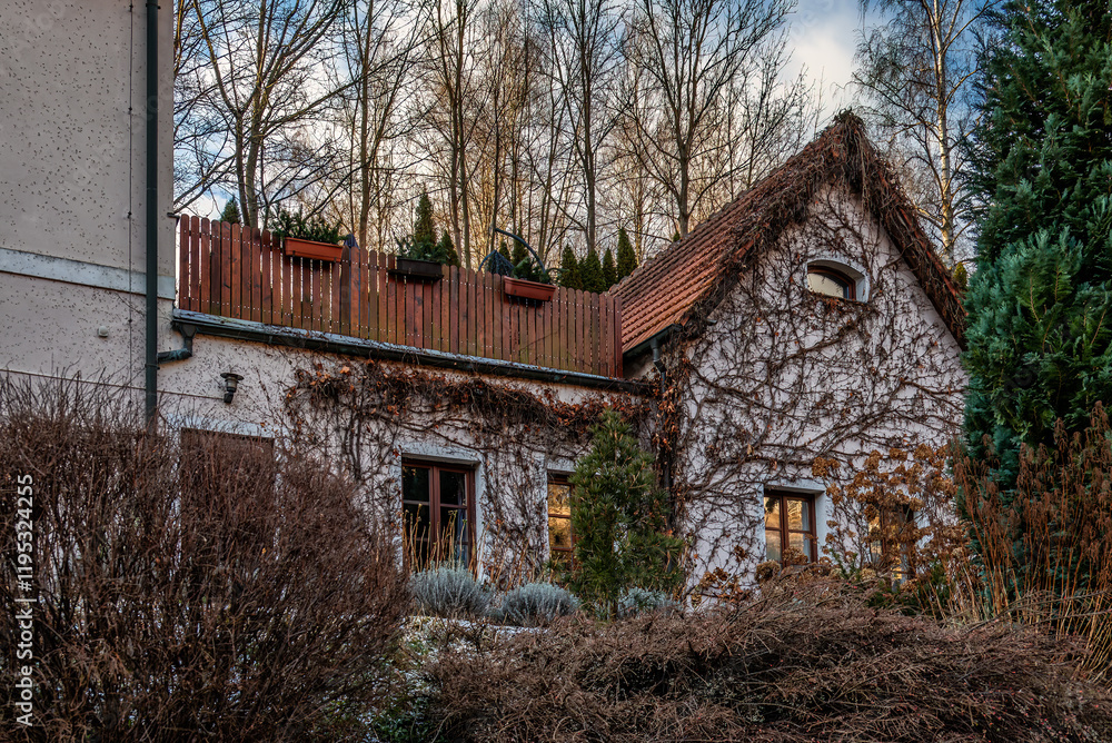 Rustic House with Ivy-Covered Facade and Garden in Winter
Rustic House with Ivy-Covered Facade and Garden in Winter