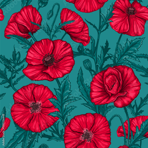 Seamless pattern with hand drawn Poppy flowers. Vector illustration of summer poppy flowers, buds and leaves. Botanical colored drawing of blossom for textile design. Vintage engraved style