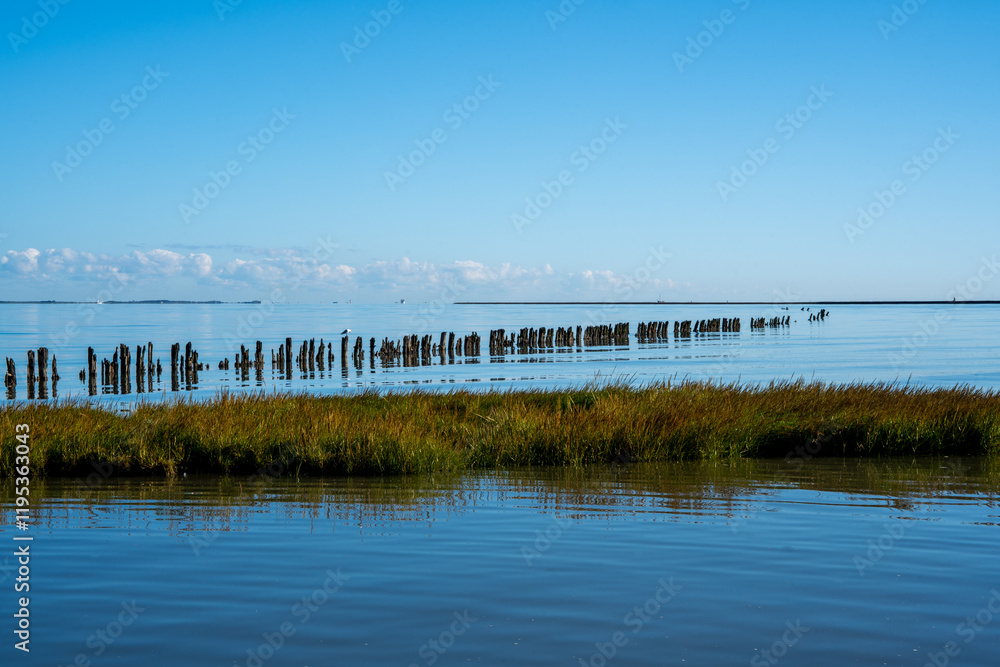 Wattenmeer bei Nordfriesland an einem sonnigen Tag