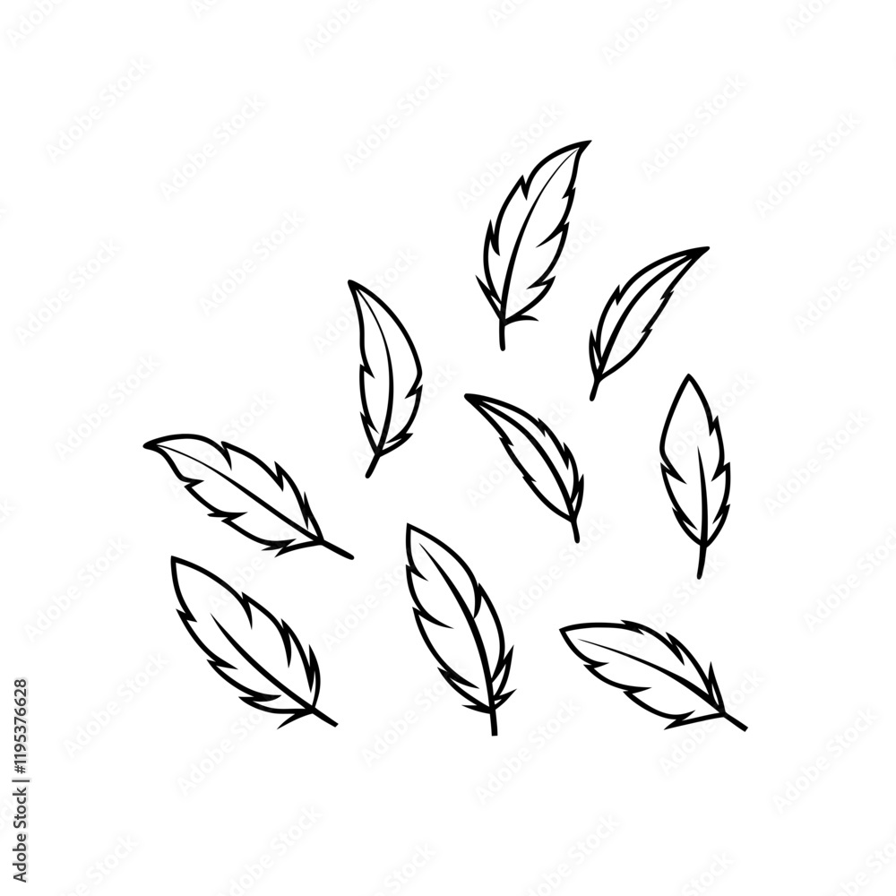 feather icon isolated on transparent background
feather icon isolated on transparent background
