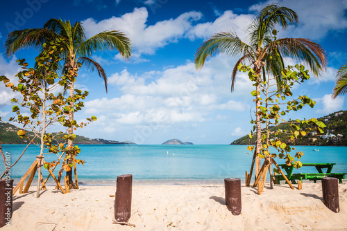 Nestled on the north coast of St. Thomas in the U.S. Virgin Islands, Magens Bay beach captivates with its powdery white sands, crystal-clear turquoise waters, and lush tropical foliage.