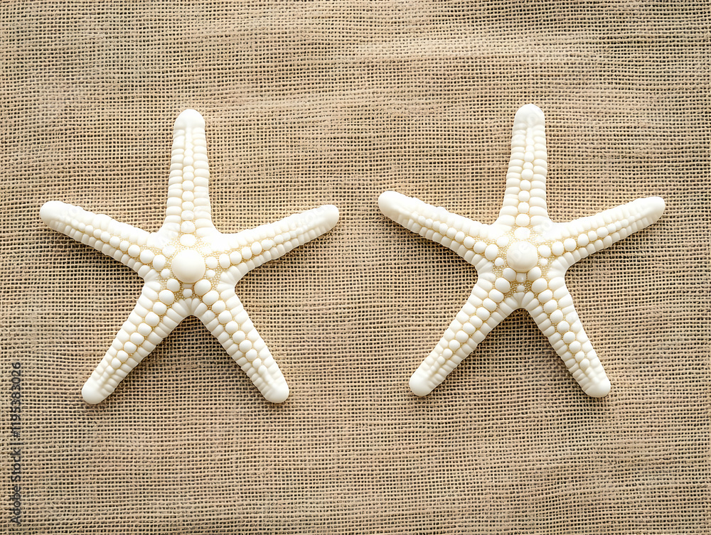 White Starfish on Burlap Background Illustration White Starfish on Burlap Background Illustration