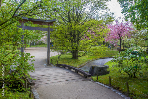 Wooden Torii gate and earthen garden path in the Japanese Garden in Hasselt photo