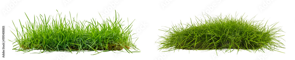 Patch of round grass isolated on white or transparent background cutout png Patch of round grass isolated on white or transparent background cutout png