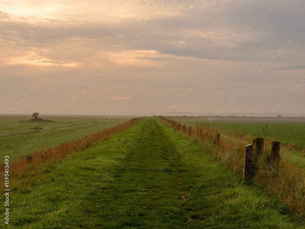 Fototapeta premium Morgenstimmung am Deich in der Norddeutschen Tiefebene
