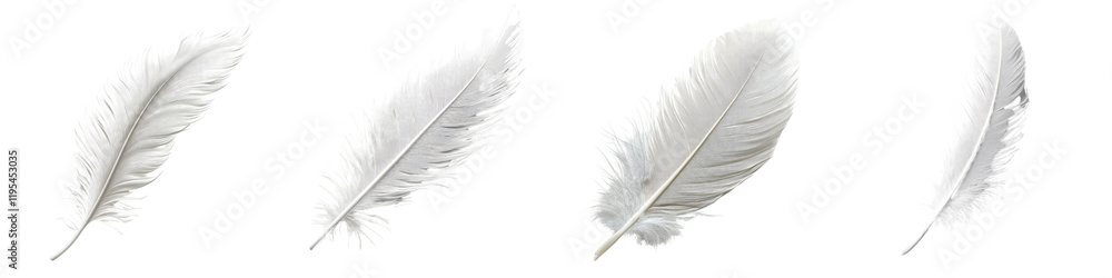 Feather – The soft, light covering of birds, often representing softness and natural beauty. Isolated on Clear White Background Highly Detailed Feather – The soft, light covering of birds, often representing softness and natural beauty. Isolated on Clear White Background Highly Detailed