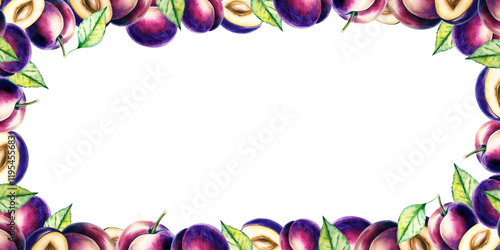 Watercolor horizontal frame of pink and blue plums, illustration, for card invitation design backgrounds .Design for food, cosmetics, drinks, jam and other industrial food products