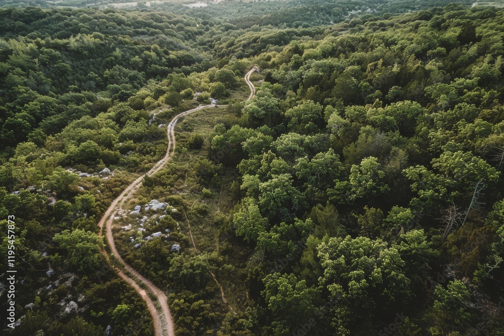 A winding dirt path through lush green forests, inviting exploration and connection with nature. A winding dirt path through lush green forests, inviting exploration and connection with nature.