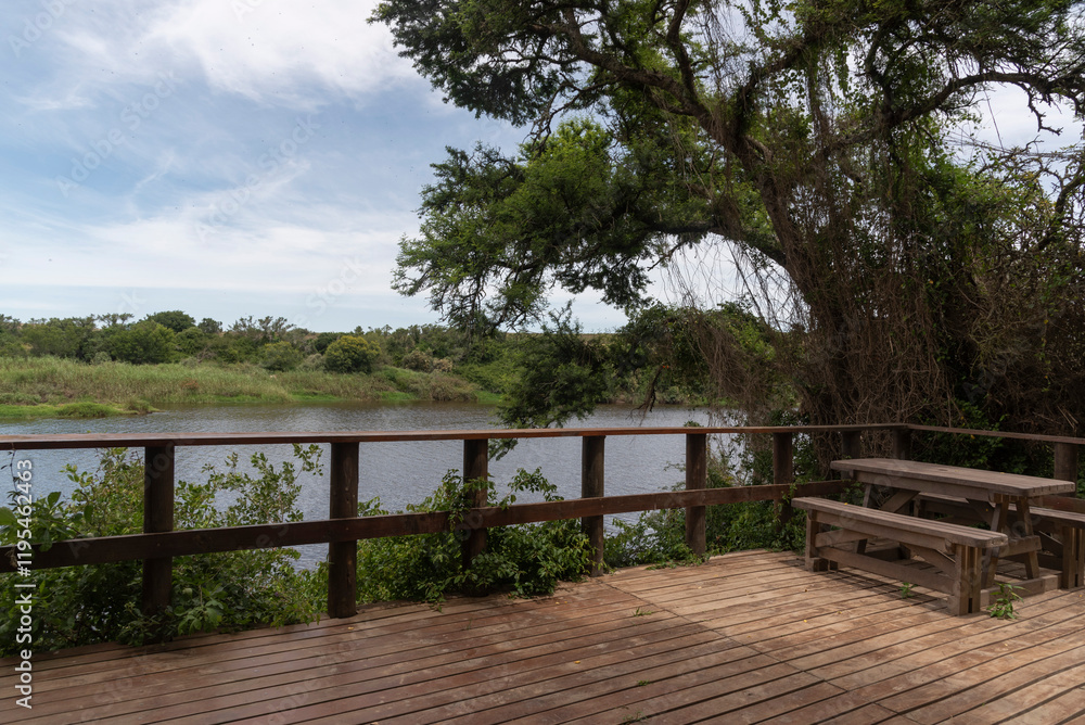 Obraz premium Swellendam Western Cape South Africa. 04.12.2024. Viewing platform along the Breede River in the Bontebok Park Swellendam Wesstern Cape South Africa.