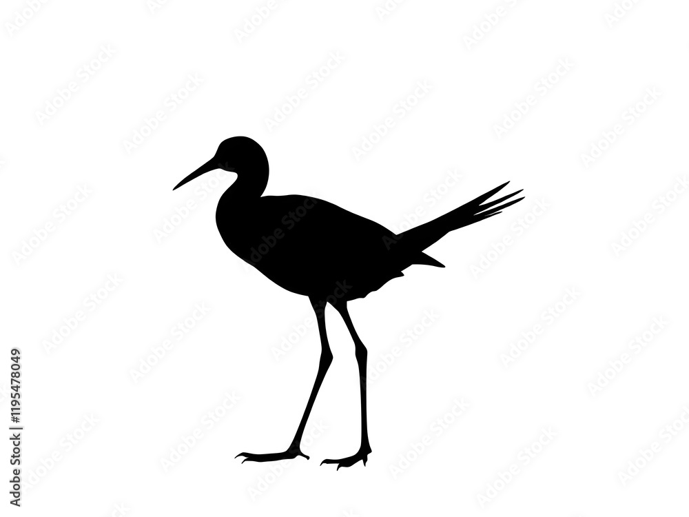 Obraz premium Birds silhouette white background 