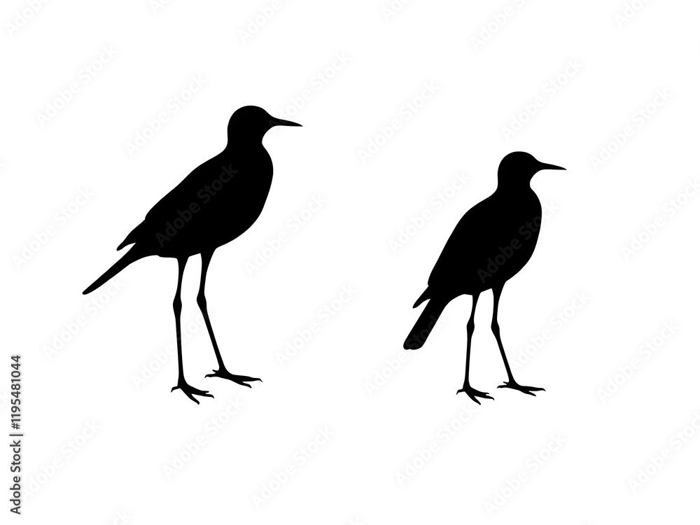 Fototapeta premium Birds silhouette white background 