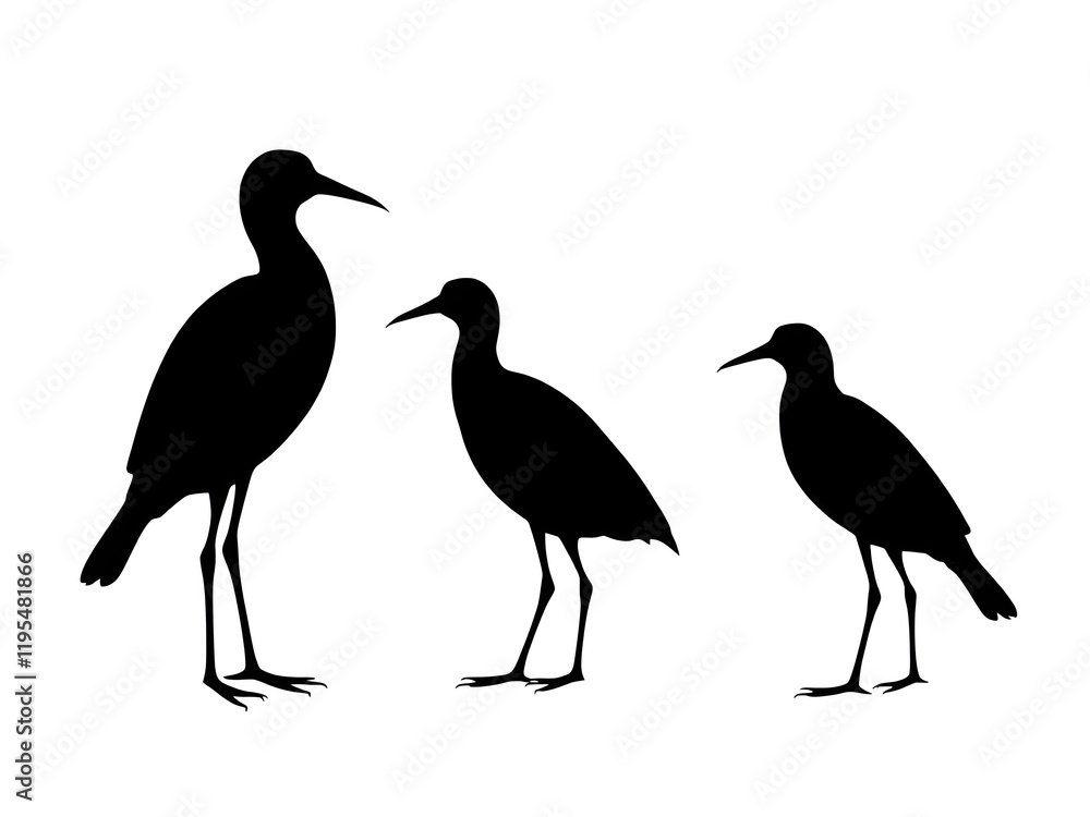 Fototapeta premium Birds silhouette white background