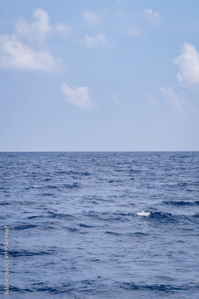 Pristine Sea View with Waves and Bright Blue Sky on Sunny Day Pristine Sea View with Waves and Bright Blue Sky on Sunny Day
