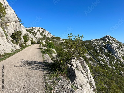 Early spring atmosphere on the mountain road - Northern Velebit National Park, Croatia (Ranoproljetni ugođaj na velebitskoj planinskoj cesti - Nacionalni park Sjeverni Velebit, Hrvatska) photo