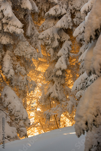 Fototapeta Naklejka Na Ścianę i Meble -  Wschód słońca w zimowy poranek