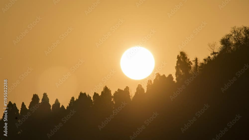 Serene sunrise over a dense forest captured in beautiful timelapse Serene sunrise over a dense forest captured in beautiful timelapse