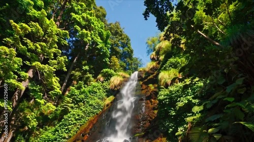 waterfall in the forest