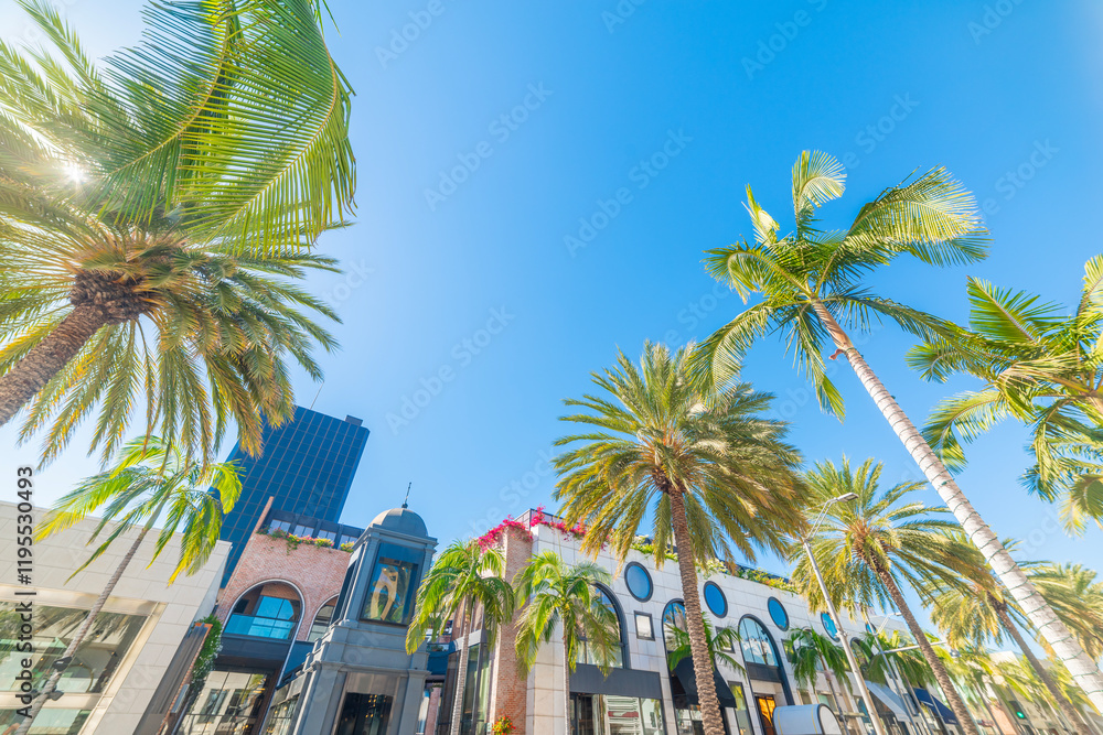Fototapeta premium Palms trees and luxury stores in Rodeo Drive
