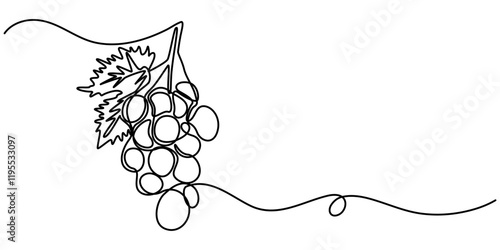 Green grape bunch one single line art drawing. Continuous vector illustration of vine. Grape bunch for label design of juice or wine, Continuous Line Drawing Of Grapes On A Transparent background.