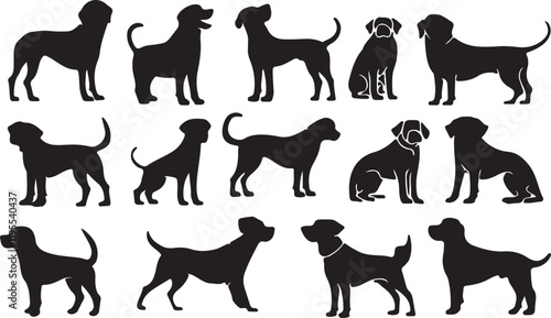 Whispering Wildlife: Enchanting Animal Silhouettes vector illustration |