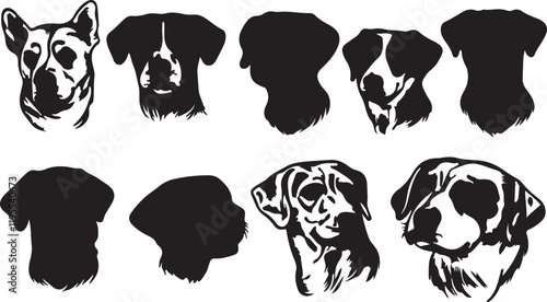 Whispering Wildlife: Enchanting Animal Silhouettes vector illustration |