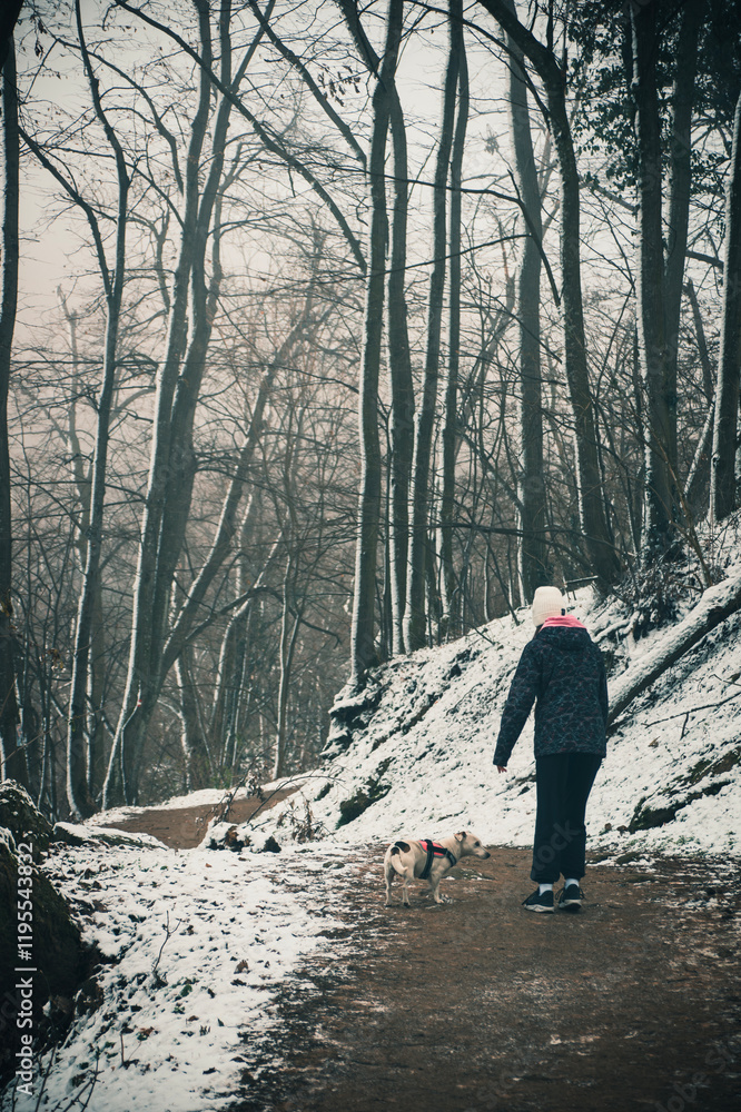 Obraz premium Teenage Girl Enjoying a Peaceful Walk with Her Jack Russell Terrier in a Beautiful Sunlit Winter Forest