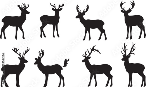 Whispering Wildlife: Enchanting Animal Silhouettes vector illustration |
