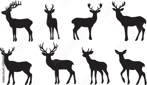Whispering Wildlife: Enchanting Animal Silhouettes vector illustration |
