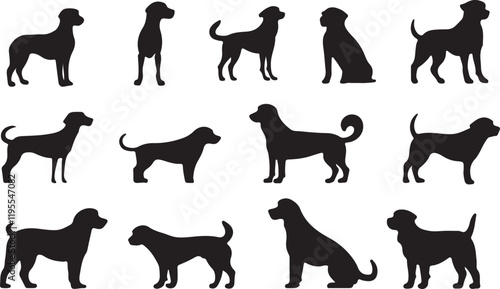 Whispering Wildlife: Enchanting Animal Silhouettes vector illustration |
