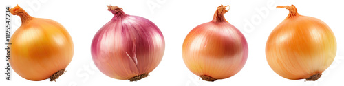 Onion isolated on transparent background, Set of