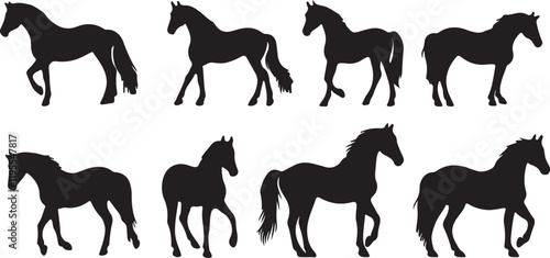 Whispering Wildlife: Enchanting Animal Silhouettes vector illustration |
