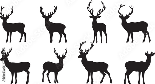 Whispering Wildlife: Enchanting Animal Silhouettes vector illustration |
