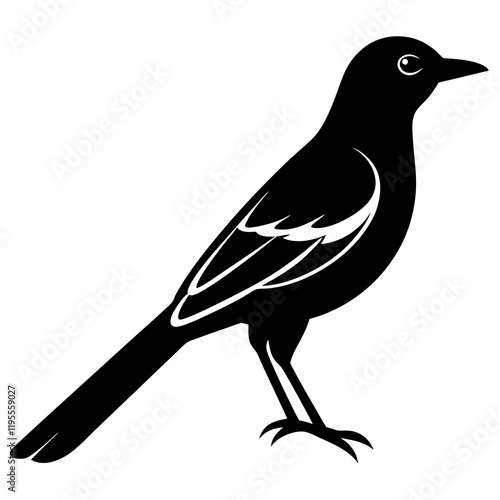  Oriole  silhouette vector illustration