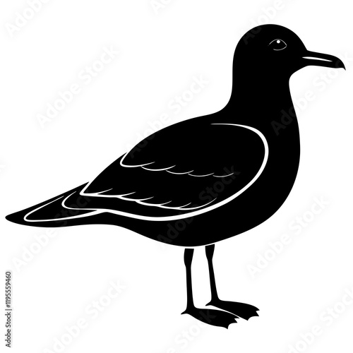  Seagull silhouette vector illustration