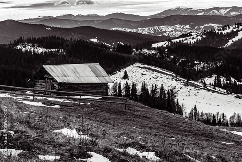 Wallpaper Mural Landscapes - Forest - Europe, Romania, Suceava region  Torontodigital.ca