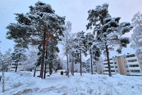 Canvas Print Winter