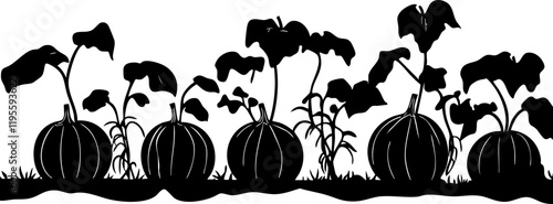 Vector silhouette of pumpkin plants with varying growth stages, perfect for autumn-themed designs and harvest illustrations.