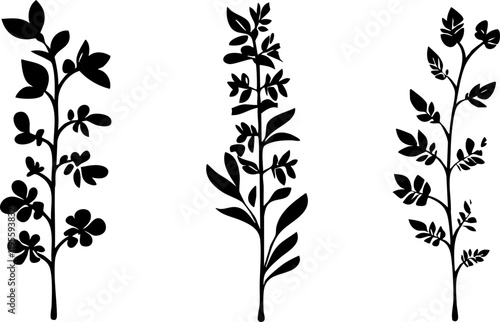 Vector plants illustration featuring three elegant silhouettes of flowers and leaves in black, perfect for floral designs and branding.