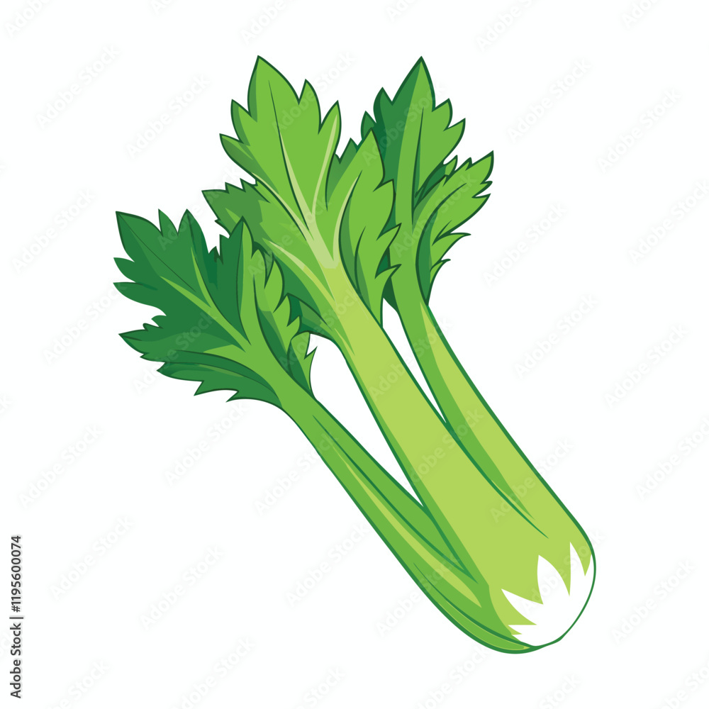 Fototapeta premium celery isolated on white