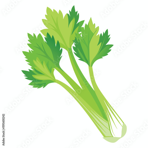 bunch of fresh parsley
