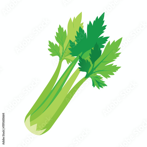 celery isolated on white