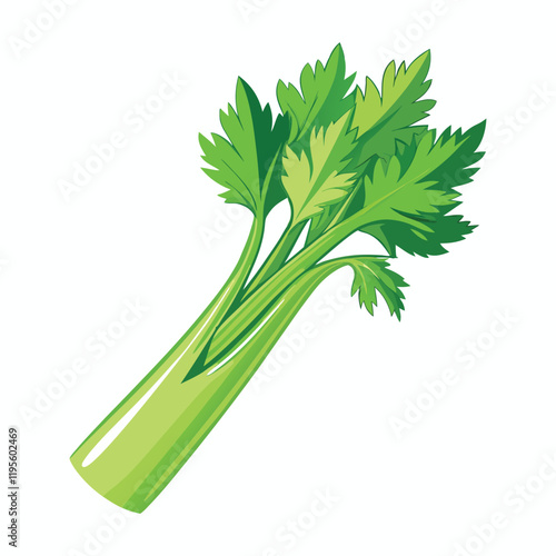 green fresh celery isolated on white background
