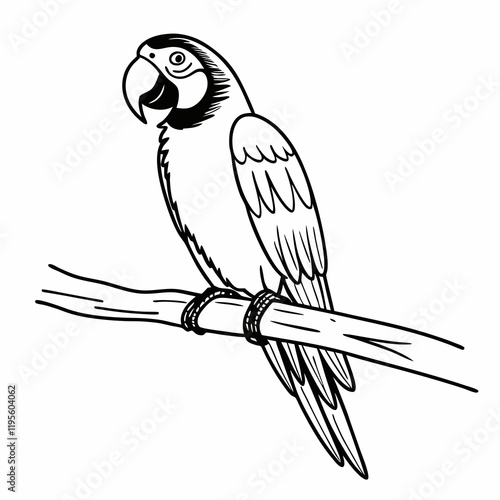 parrot on branch