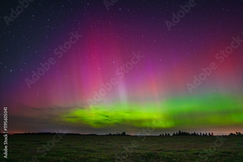 Wallpaper Mural spectacular northern lights with green, red and purple colors in a clear sky with stars Torontodigital.ca