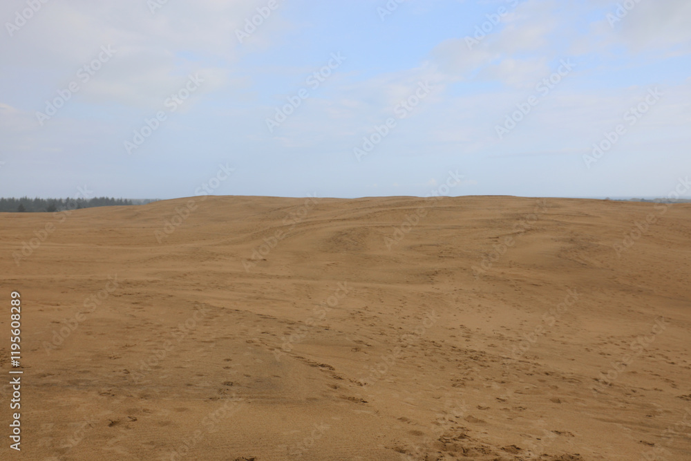 dune of sand and desert landscape ideal as a concept of nature and uncontaminated environment dune of sand and desert landscape ideal as a concept of nature and uncontaminated environment