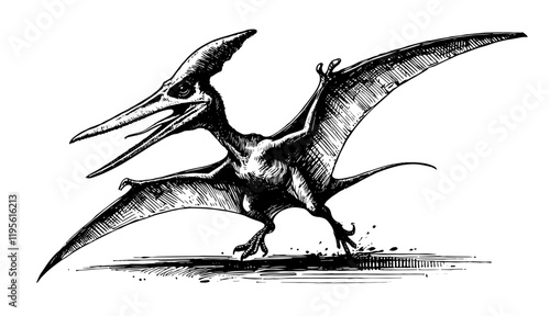 realistic pterodactyl illustration in black hand-drawn style