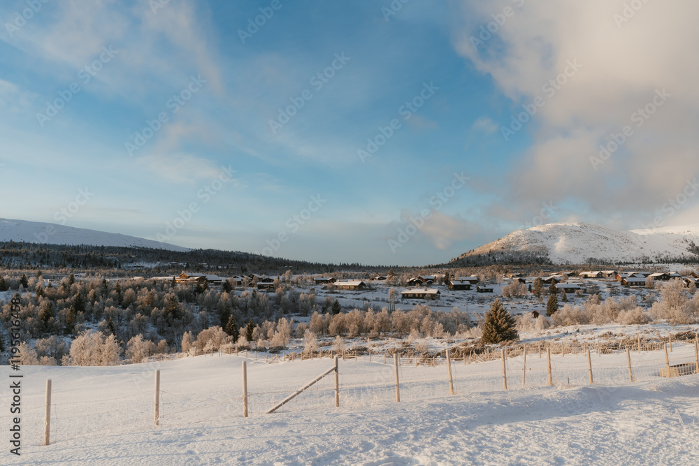 Sunny Winter Day in Venabygd Fjell, Norway